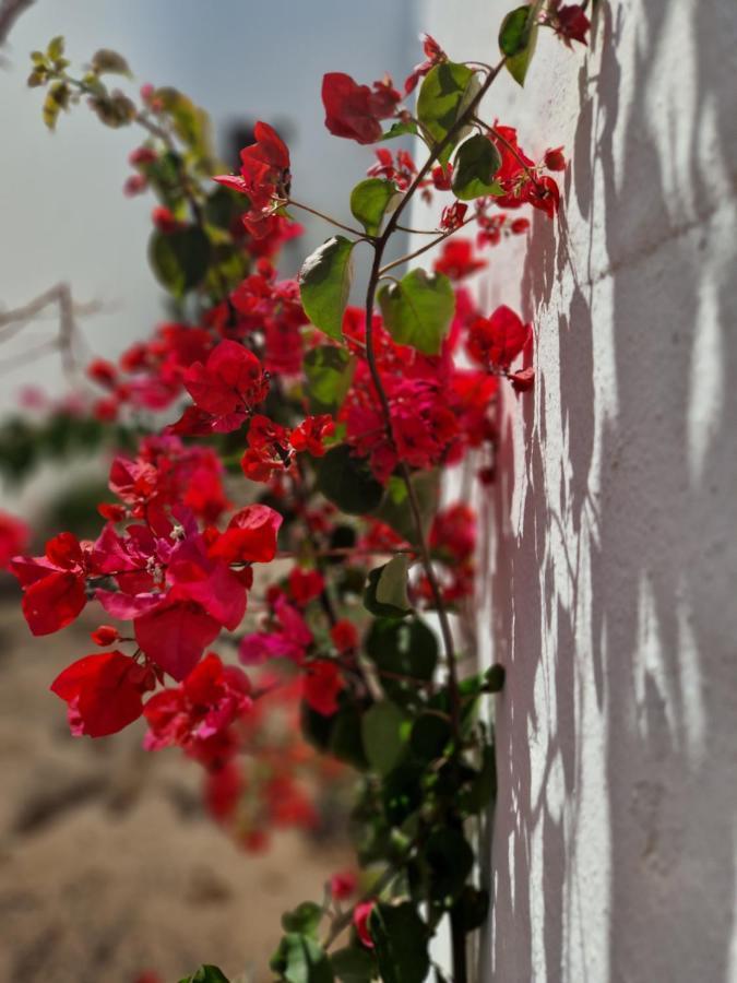 Casa Vivi Fuerteventura Apartment Corralejo Exterior photo
